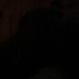 Meet your Posher, Jett